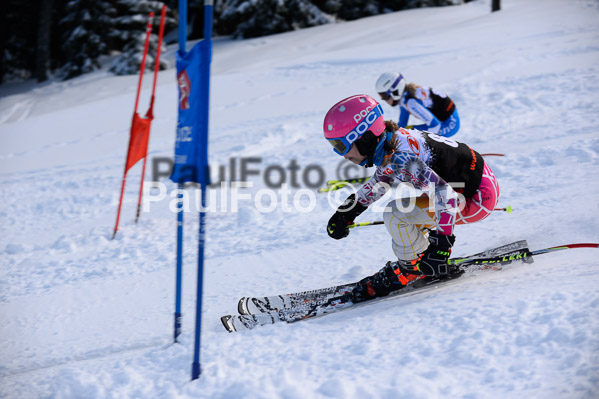 Ziener Cup Finale 2015