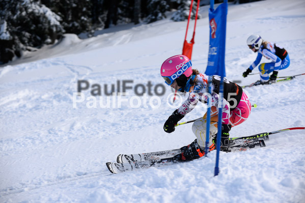 Ziener Cup Finale 2015
