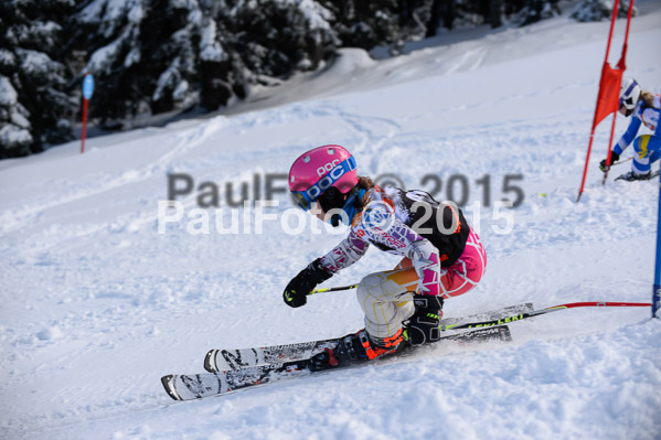 Ziener Cup Finale 2015
