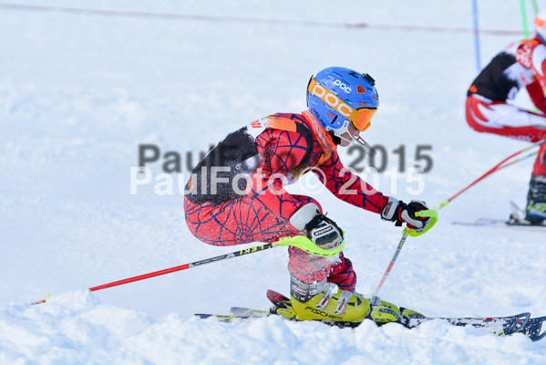 Ziener Cup Finale 2015