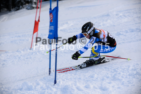Ziener Cup Finale 2015