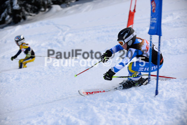Ziener Cup Finale 2015