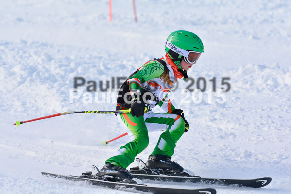 Ziener Cup Finale 2015