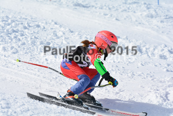 Ziener Cup Finale 2015