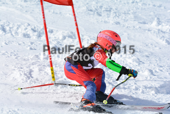 Ziener Cup Finale 2015