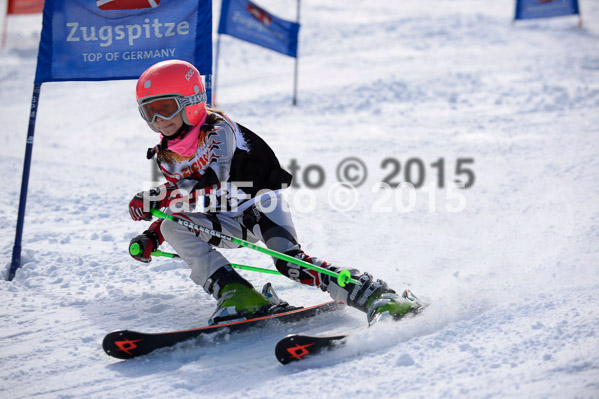 Ziener Cup Finale 2015
