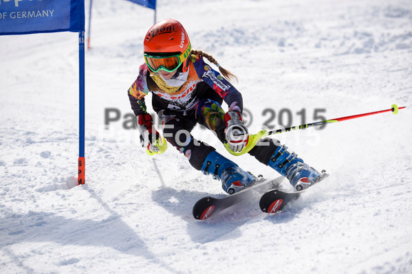 Ziener Cup Finale 2015