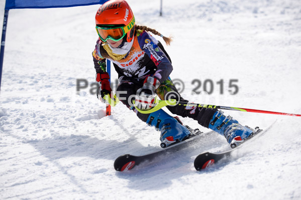 Ziener Cup Finale 2015