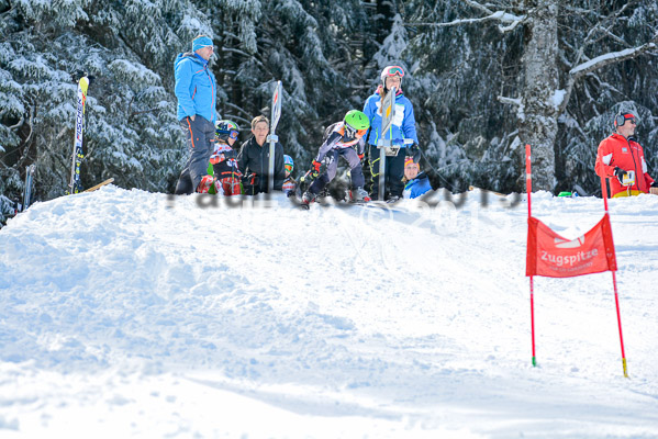 Ziener Cup Finale 2015