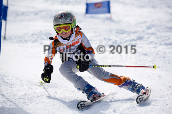 Ziener Cup Finale 2015