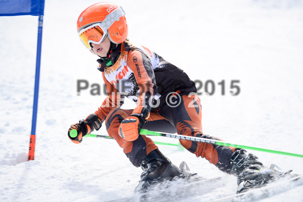 Ziener Cup Finale 2015