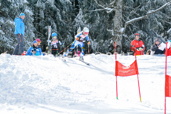 Ziener Cup Finale 2015