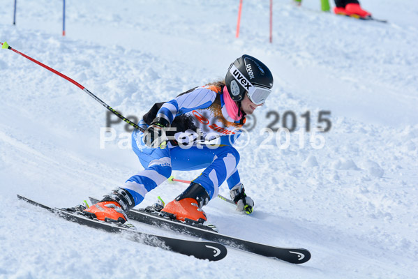 Ziener Cup Finale 2015