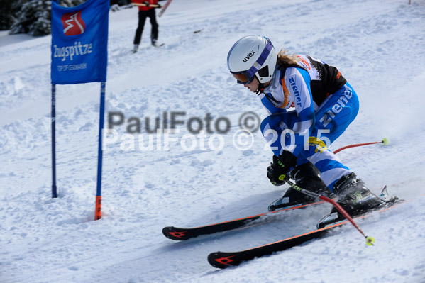 Ziener Cup Finale 2015