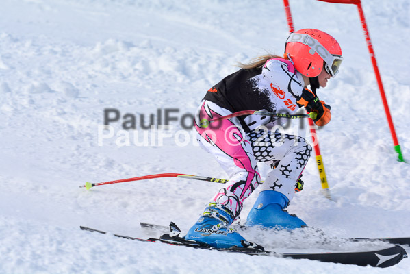 Ziener Cup Finale 2015