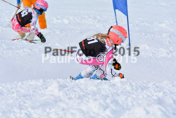Ziener Cup Finale 2015