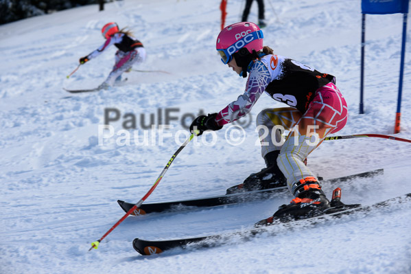 Ziener Cup Finale 2015