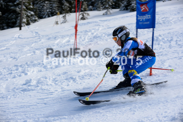 Ziener Cup Finale 2015