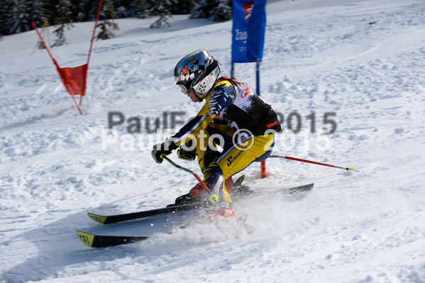 Ziener Cup Finale 2015