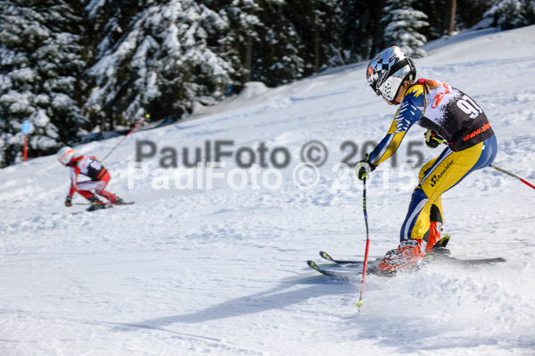 Ziener Cup Finale 2015