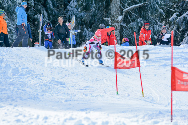 Ziener Cup Finale 2015