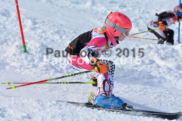 Ziener Cup Finale 2015