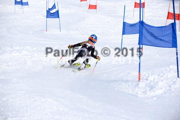 Ziener Cup Finale 2015