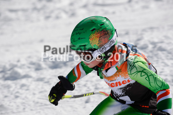Ziener Cup Finale 2015