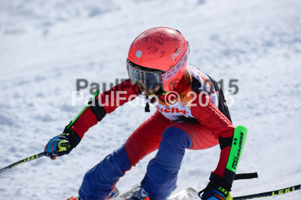 Ziener Cup Finale 2015