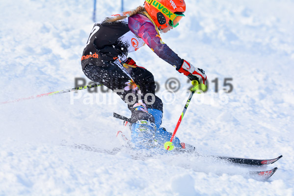 Ziener Cup Finale 2015