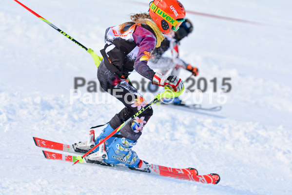 Ziener Cup Finale 2015