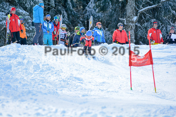 Ziener Cup Finale 2015