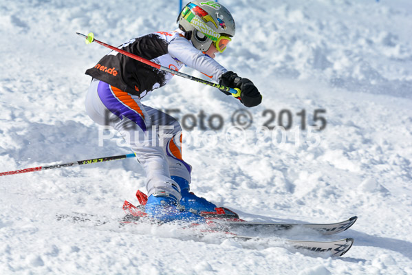 Ziener Cup Finale 2015