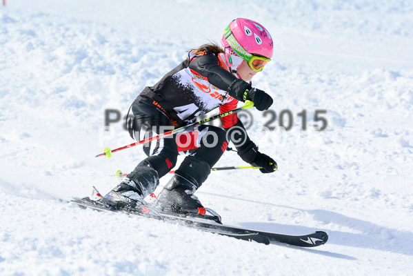 Ziener Cup Finale 2015