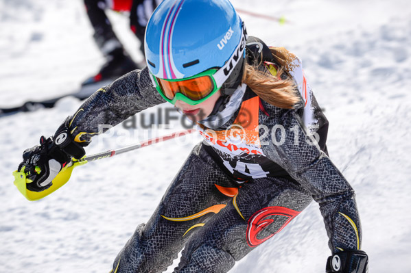 Ziener Cup Finale 2015