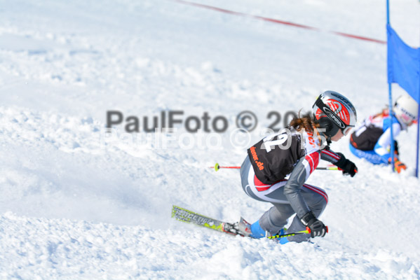 Ziener Cup Finale 2015