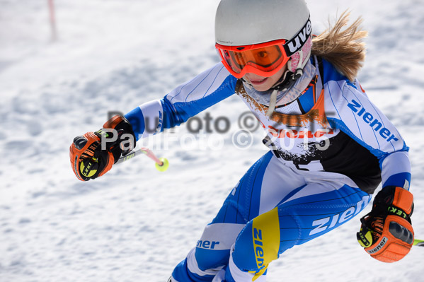 Ziener Cup Finale 2015