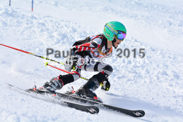 Ziener Cup Finale 2015
