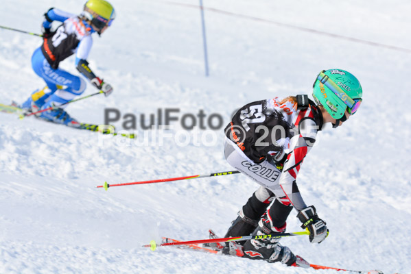 Ziener Cup Finale 2015