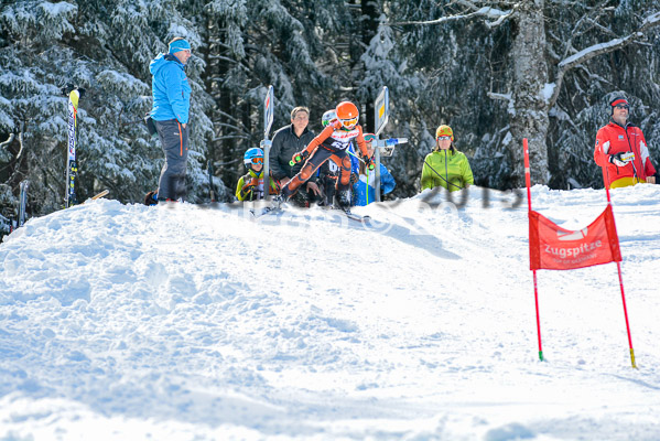 Ziener Cup Finale 2015