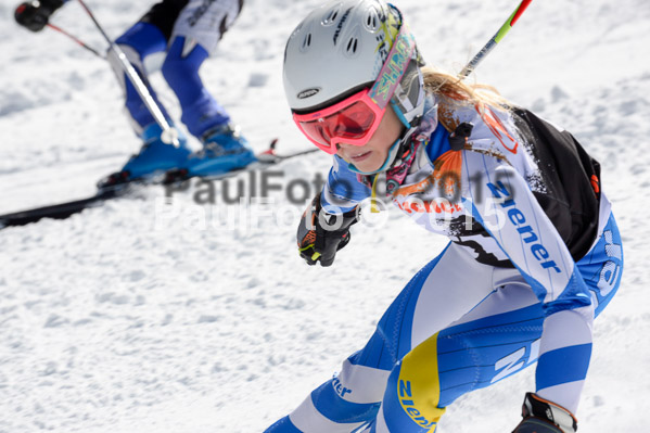 Ziener Cup Finale 2015