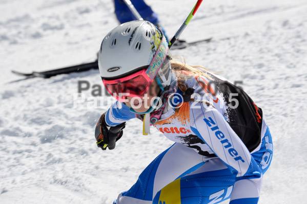 Ziener Cup Finale 2015