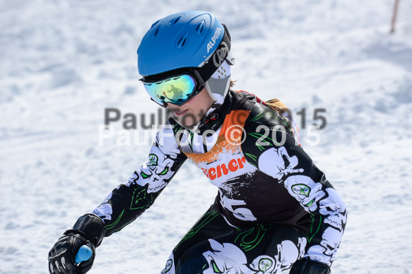 Ziener Cup Finale 2015