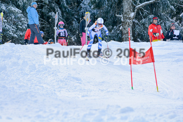 Ziener Cup Finale 2015