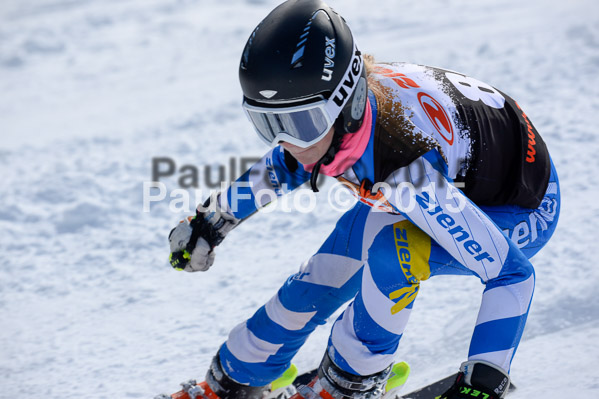 Ziener Cup Finale 2015