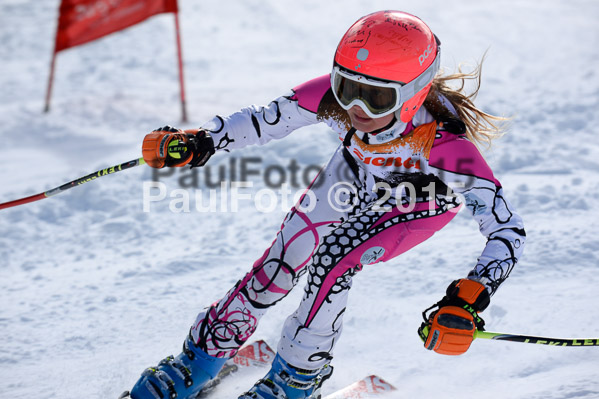 Ziener Cup Finale 2015