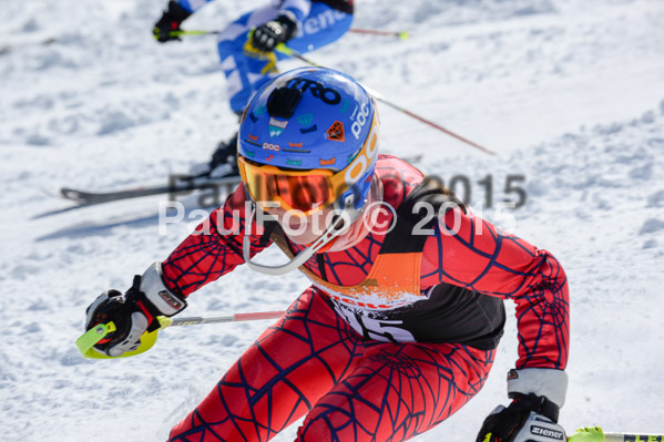 Ziener Cup Finale 2015