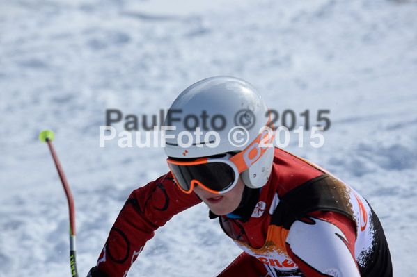Ziener Cup Finale 2015
