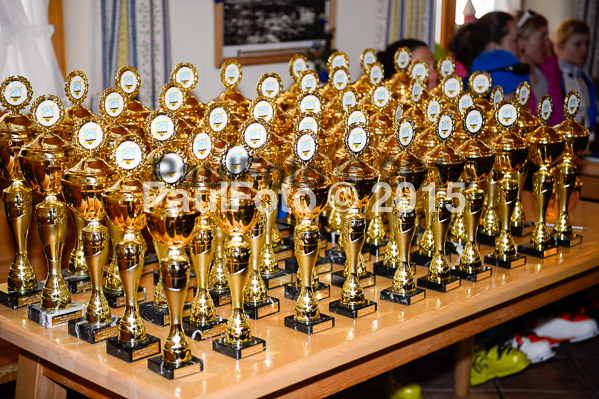 Ziener Cup Finale 2015