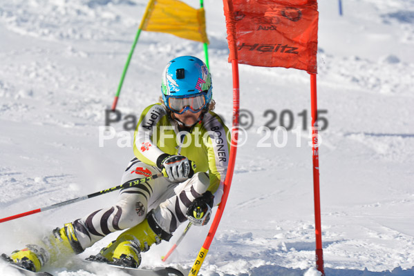Ziener Cup Finale 2015